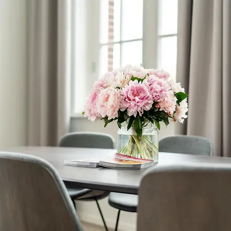 Ingenhousz דירה ברדה