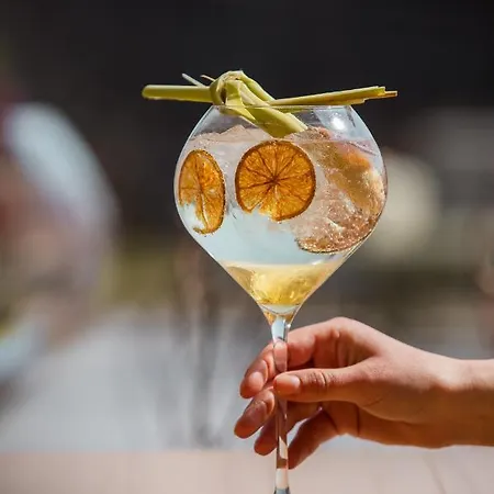 Ingenhousz * ברדה