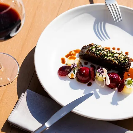 Ingenhousz דירה ברדה